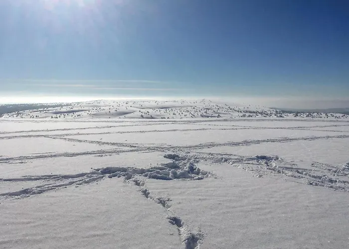 Stunning In With Kitchen Ferienhaus *