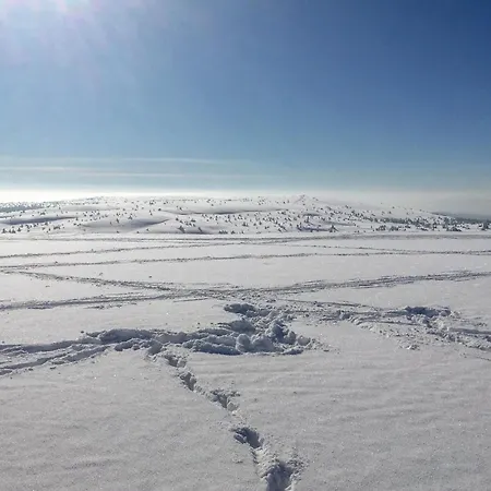 Stunning In With Kitchen Feriehus *